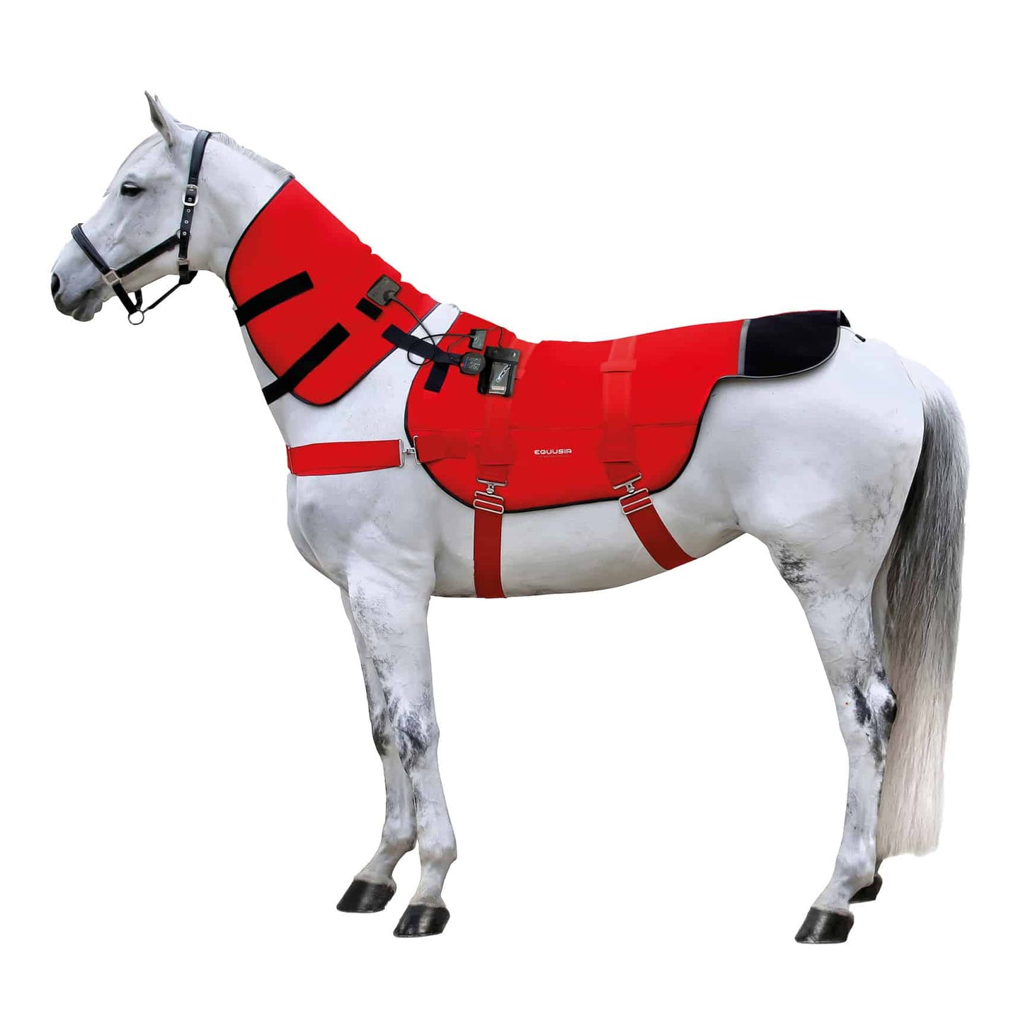 EQUUSIR BIOS Horse blanket - magnetic field blanket