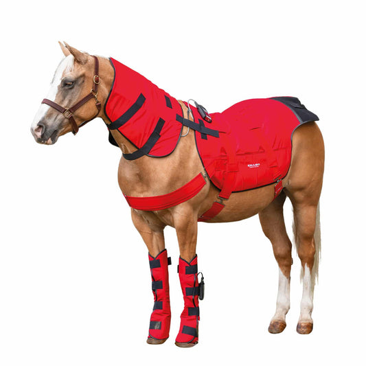 EQUUSIR BIOS Horse blanket + boots